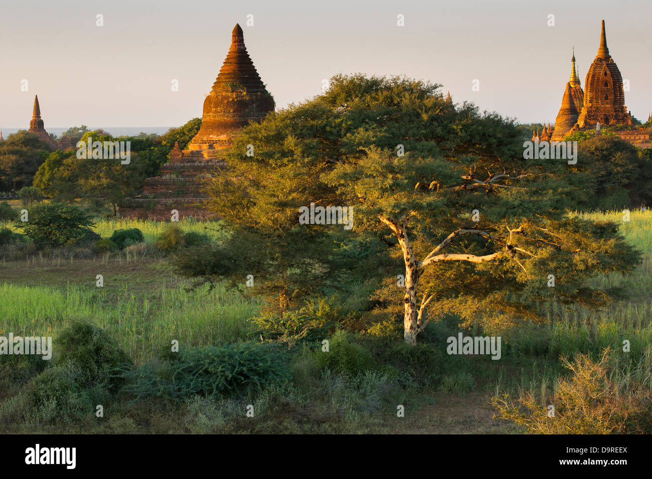 Los templos de Bagan, Myanmar (Birmania) Foto de stock