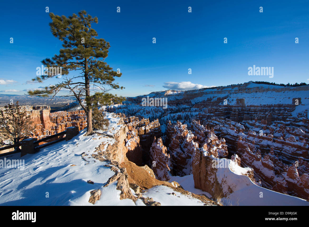 El anfiteatro en invierno, Bryce Canyon, Utah, EE.UU. Foto de stock