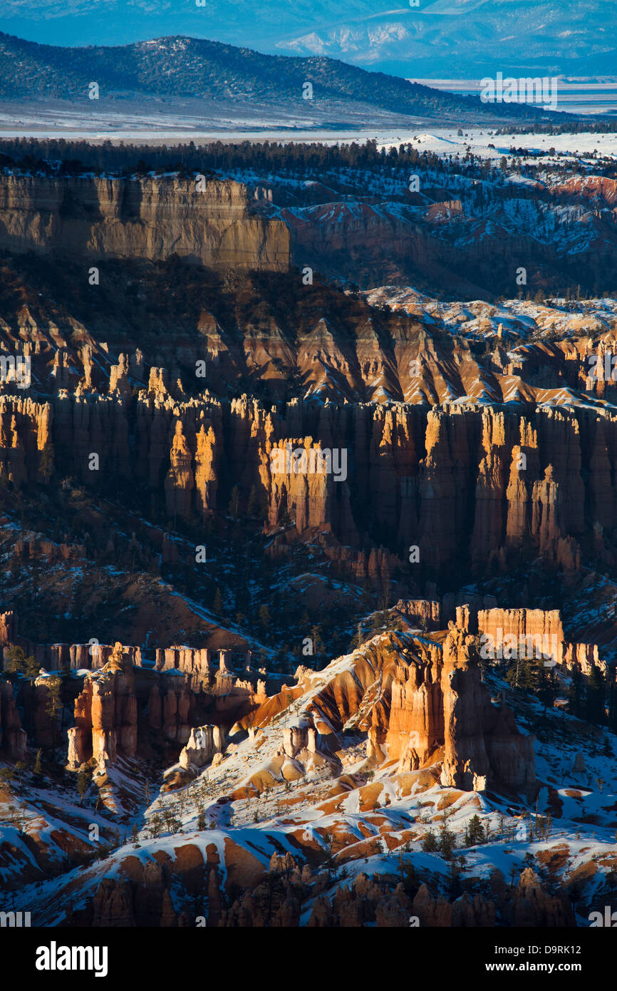 La última luz sobre la hoodoos de Bryce Canyon, Utah, EE.UU. Foto de stock