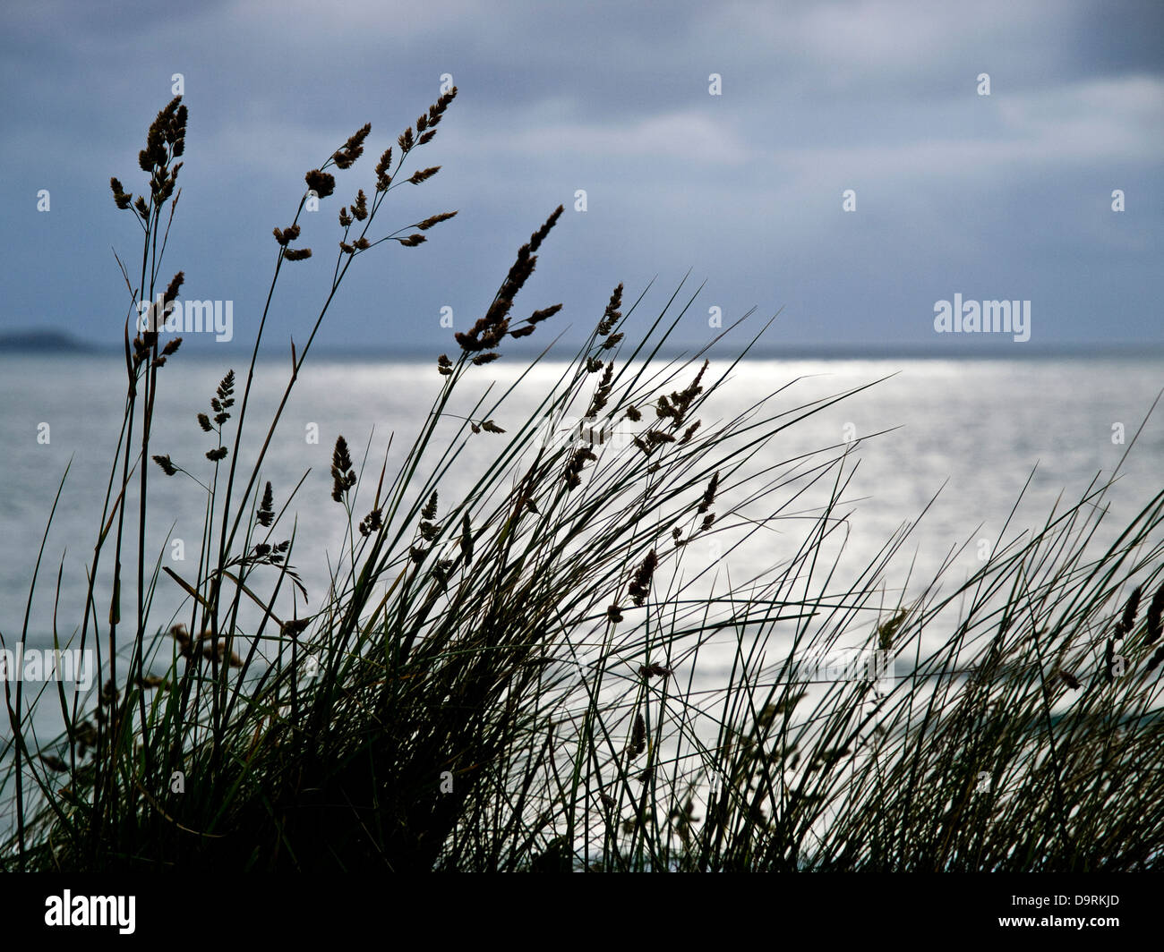 Los céspedes encima Whitesands Bay, Gales pembrokeshire Foto de stock