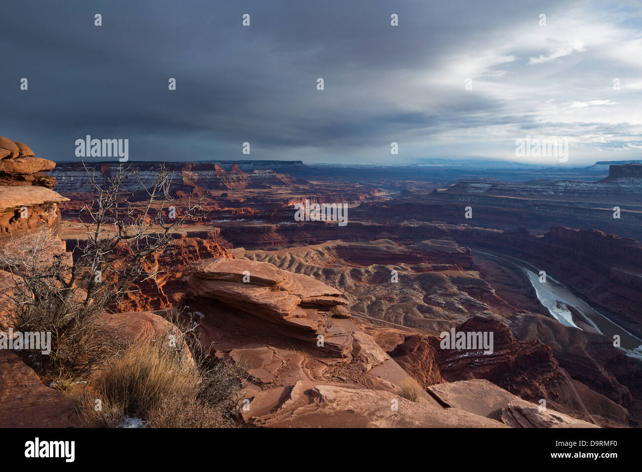 El Valle Colorado de Dead Horse Point, Utah, EE.UU. Foto de stock