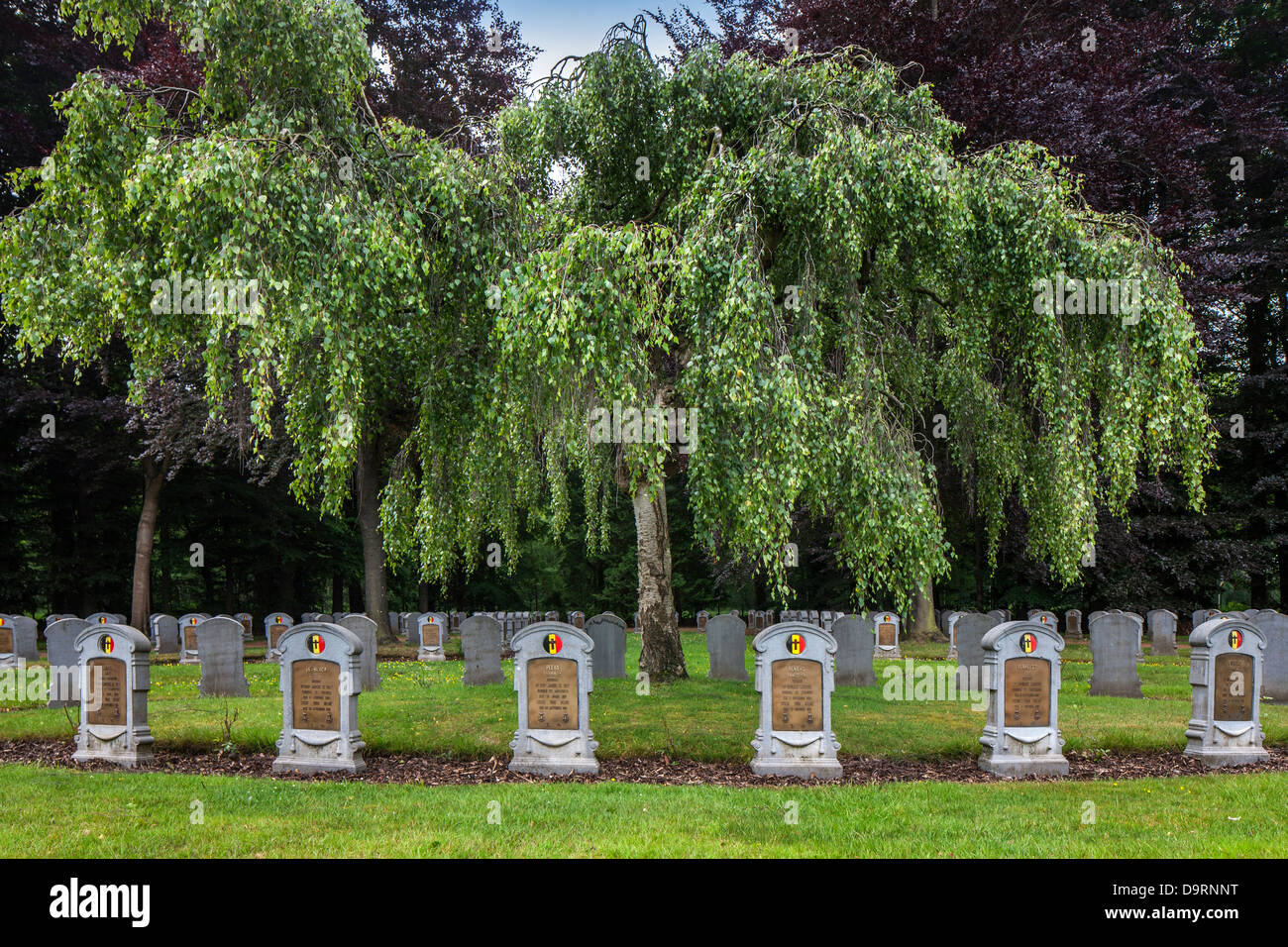 El WWI cementerio militar belga Houthulst con tumbas de la Primera Guerra Mundial, uno de los soldados, en el oeste de Flandes, Bélgica Foto de stock