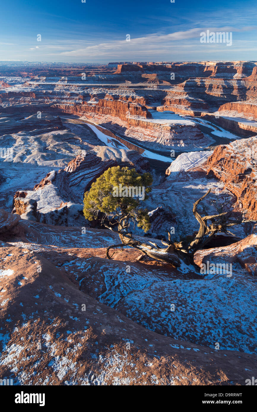 El Valle Colorado de Dead Horse Point al amanecer, Utah, EE.UU. Foto de stock