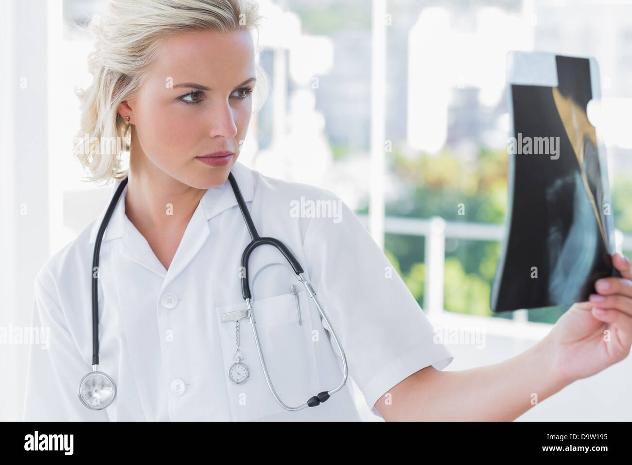 Enfermera sosteniendo una radiografía Foto de stock