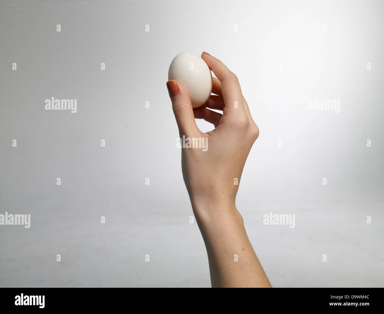 Señora arrojar un huevo. Foto de stock