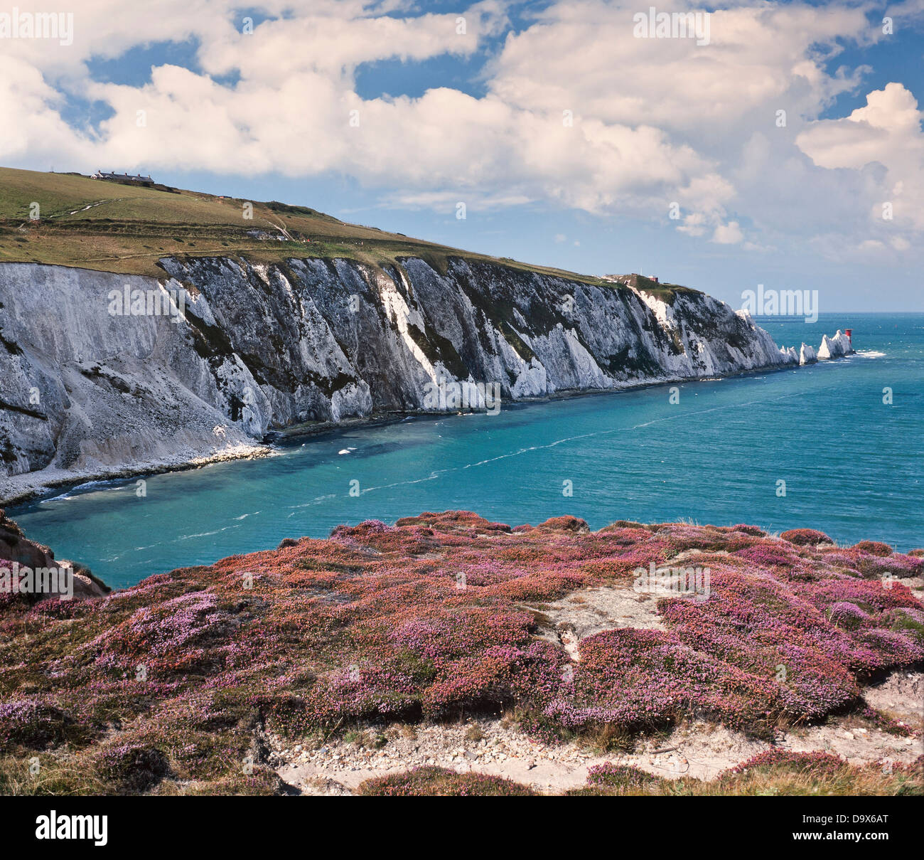 Las agujas rocas calcáreas costa vista, Isla de Wight, REINO UNIDO, día soleado Foto de stock