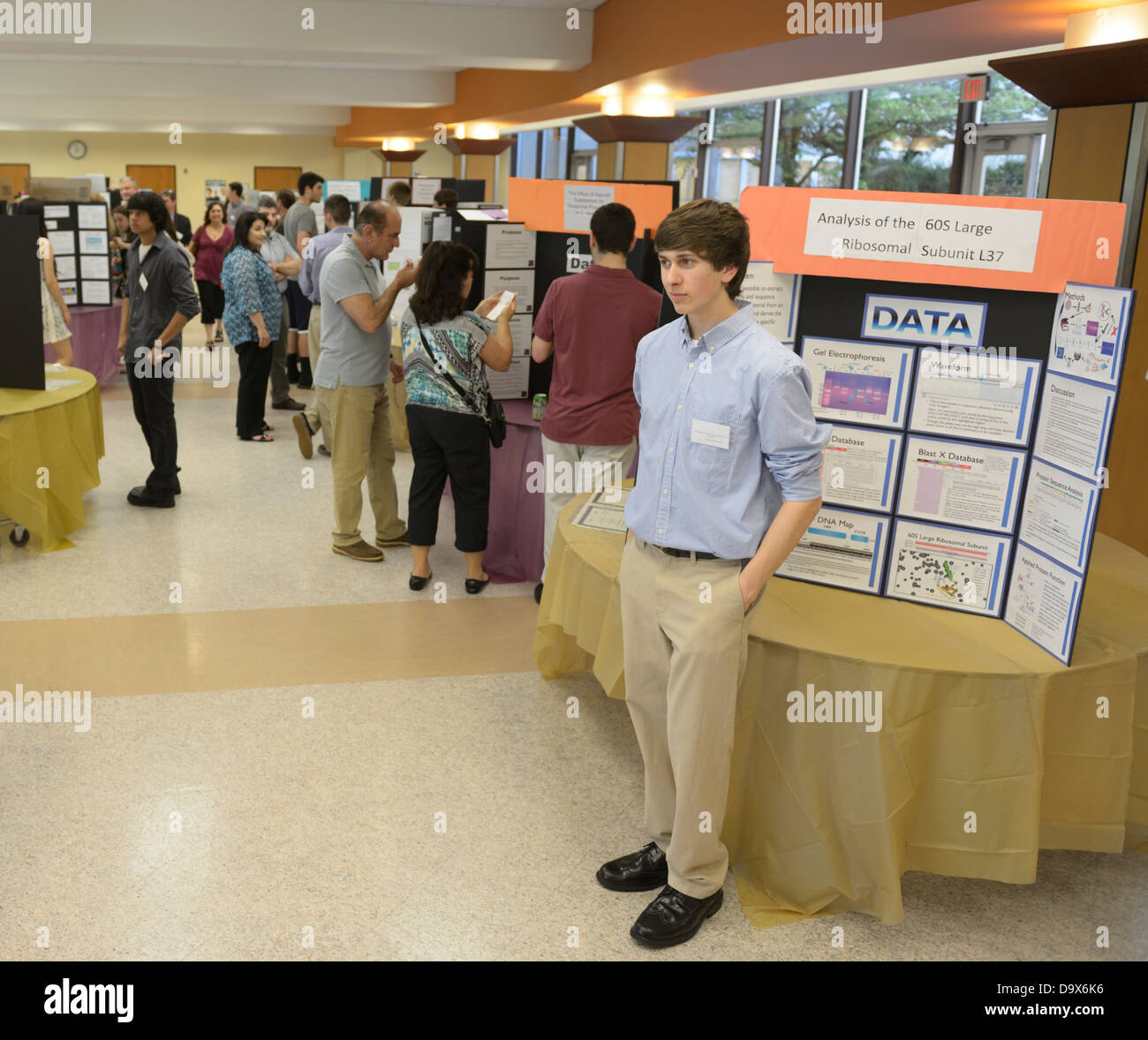 Los estudiantes mostrando y explicando los carteles de sus proyectos de investigación en materia de ciencia en un simposio científico/ Feria de ciencias Foto de stock