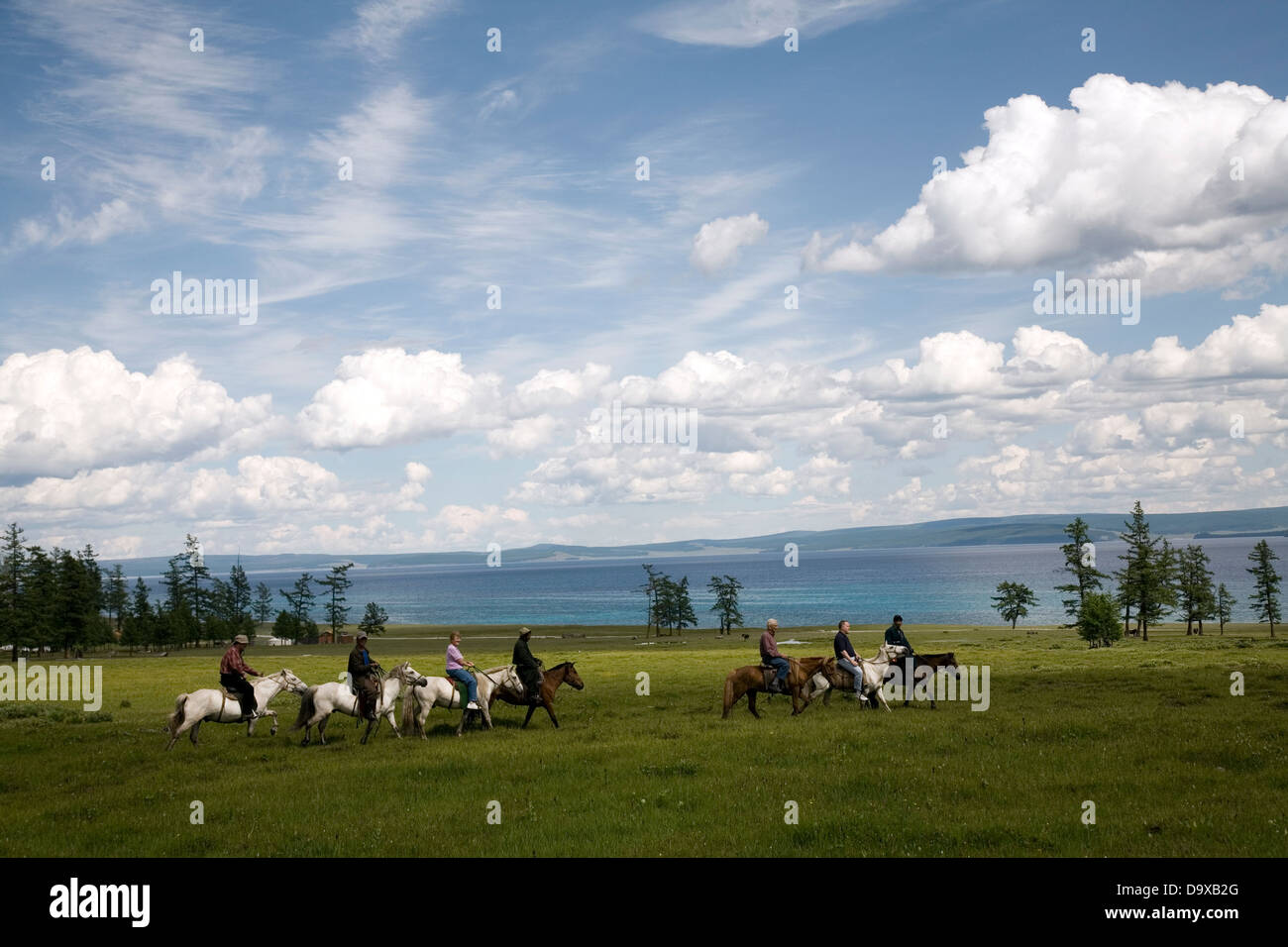Los visitantes pueden disfrutar de cabalgatas a orillas del Lago Hovsgol, Mongolia, Asia Foto de stock