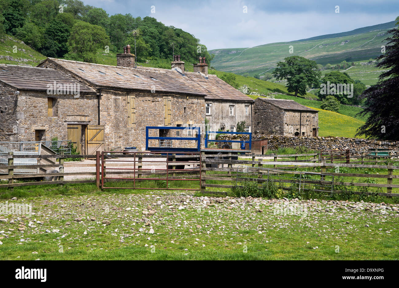 Dales la granja en la pequeña aldea de Hubberholme, Wharfedale, Yorkshire Dales, en el camino Sendero de Larga Distancia Foto de stock