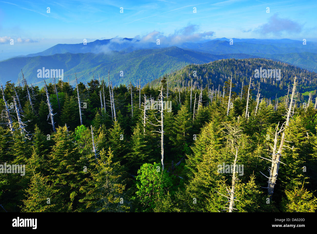 Vista desde la plataforma de observación de Clingman's Dome en el Great Smoky Mountains. Foto de stock