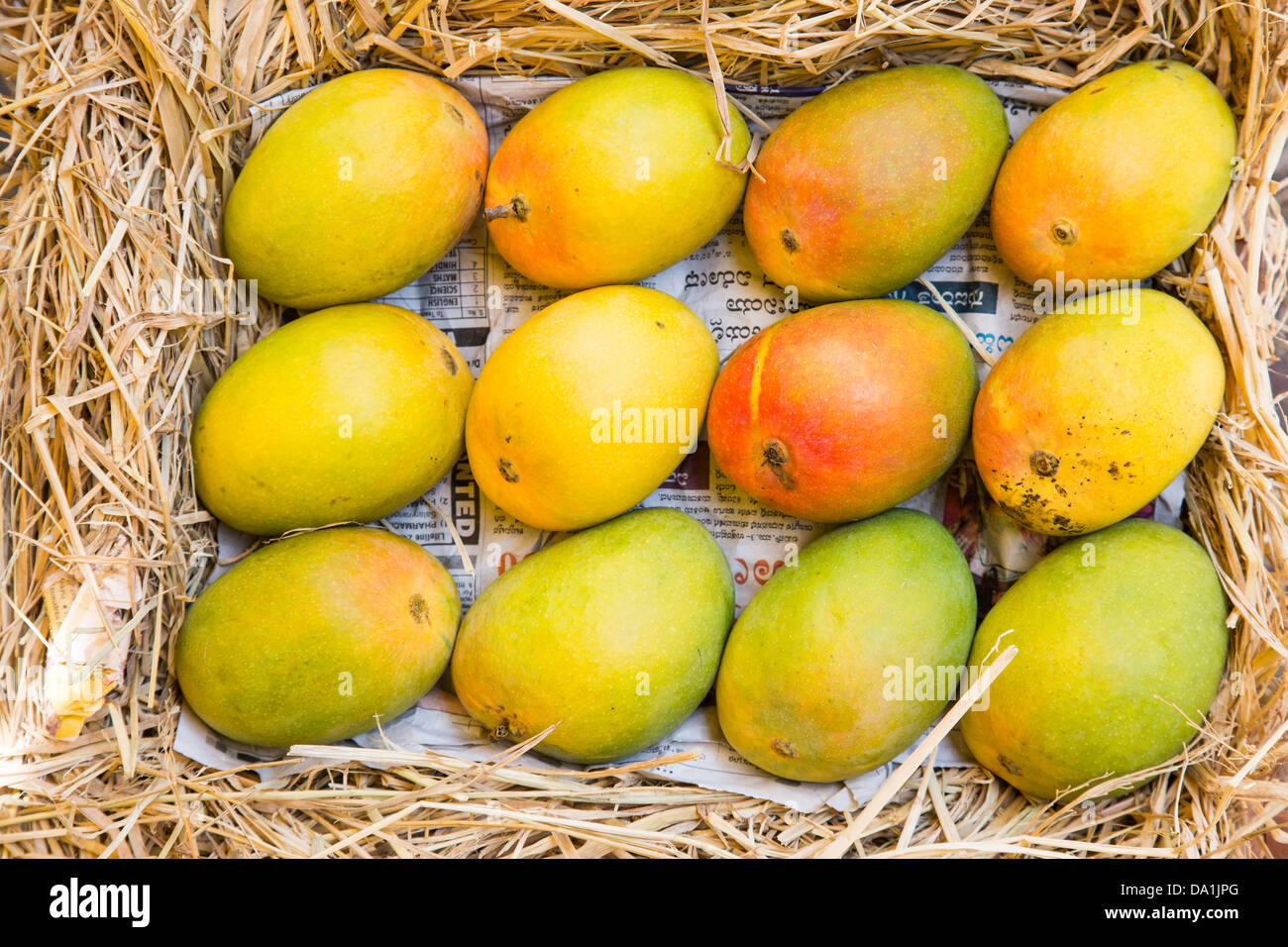 Mangos indios fotografías e imágenes de alta resolución - Alamy