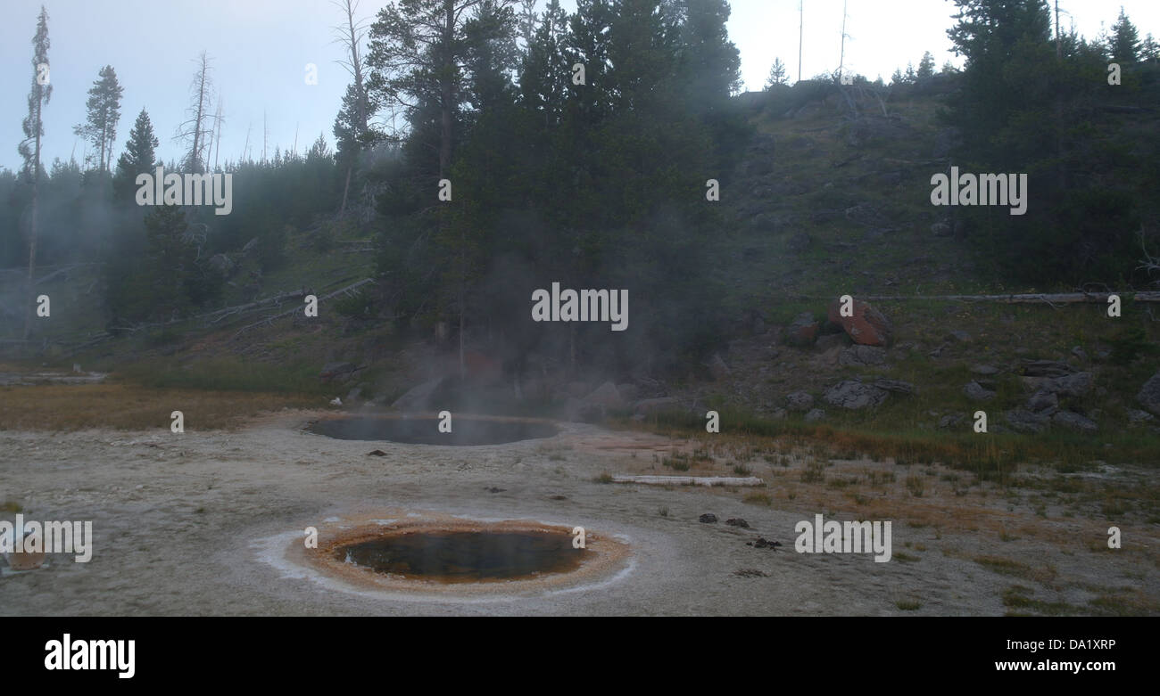 Vapor de piscinas marrón económico y Oriente Economic géiseres, debajo de la ladera con pinos, Upper Geyser Basin, Yellowstone Foto de stock