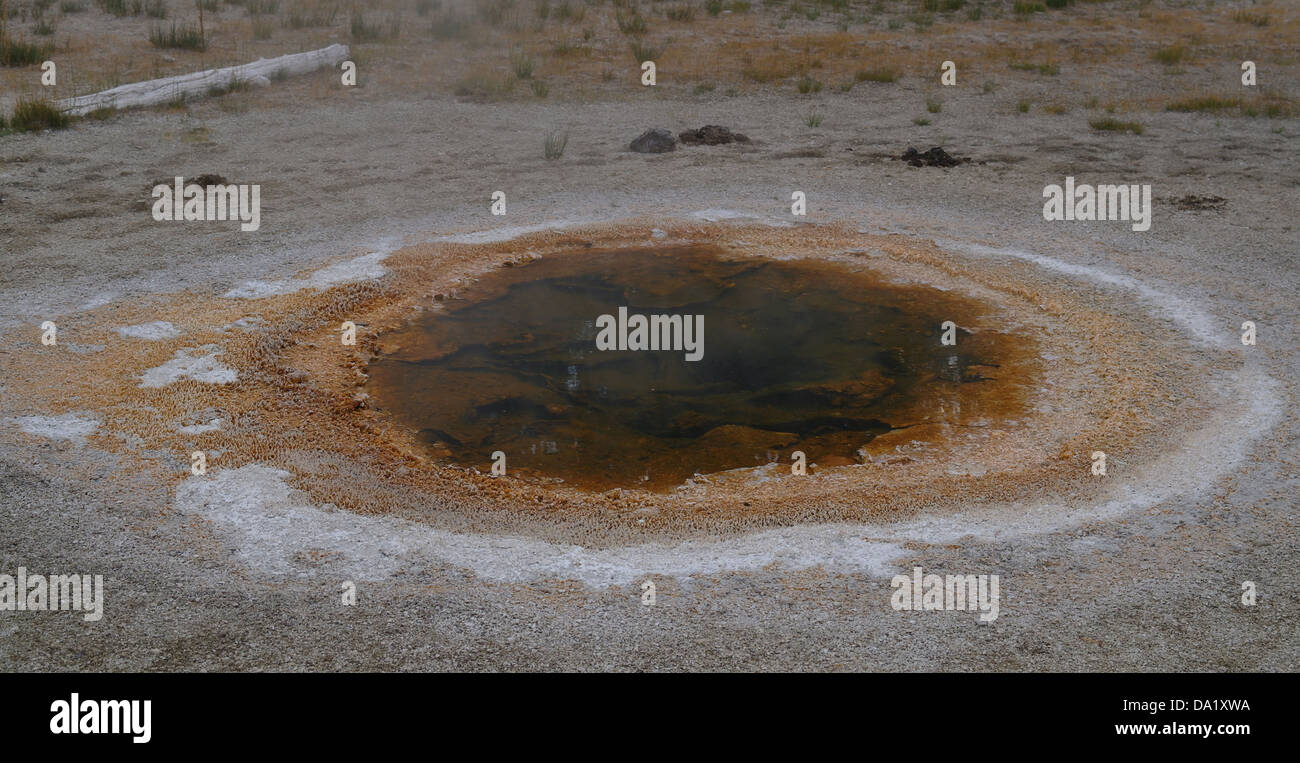 Brown aguas bacteriana económico géiser, mintiendo gris liso de sinterización con excrementos de bisonte, la Cuenca del Géiser Superior, Yellowstone, EE.UU. Foto de stock