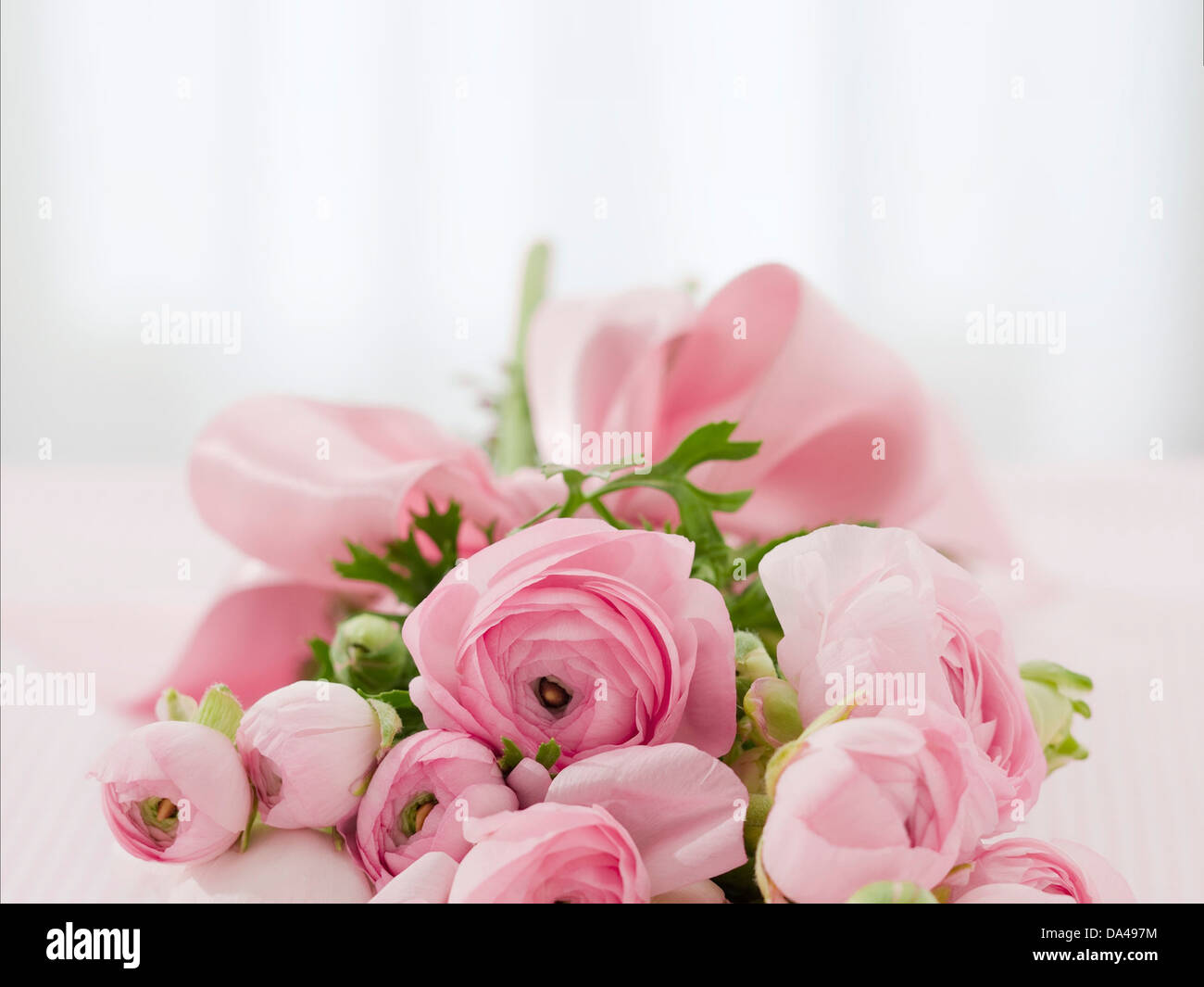 folleto Oferta Todo el mundo Bouquet de rosas felicitaciones arreglo de flores Fotografía de stock -  Alamy