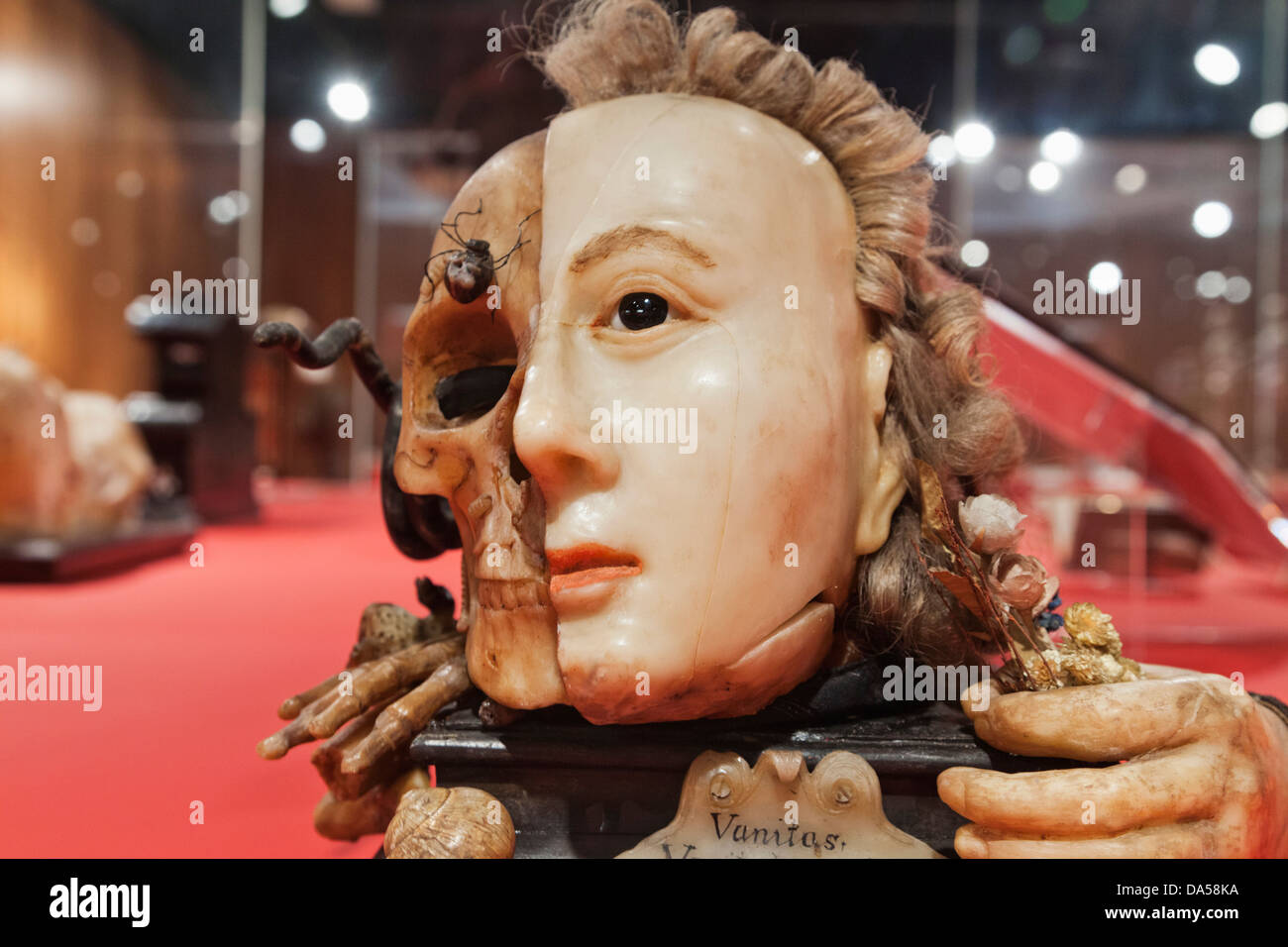 Inglaterra, Londres, Euston, el Museo Colección de bienvenida, siglo XVIII Vanitas máscara Foto de stock
