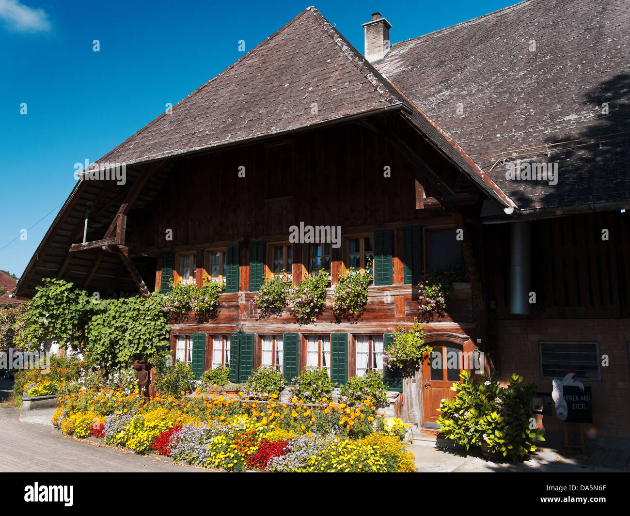 Flores de la casa de campo fotografías e imágenes de alta resolución - Alamy Flores de la casa de campo fotografías e imágenes de alta resolución - Alamy