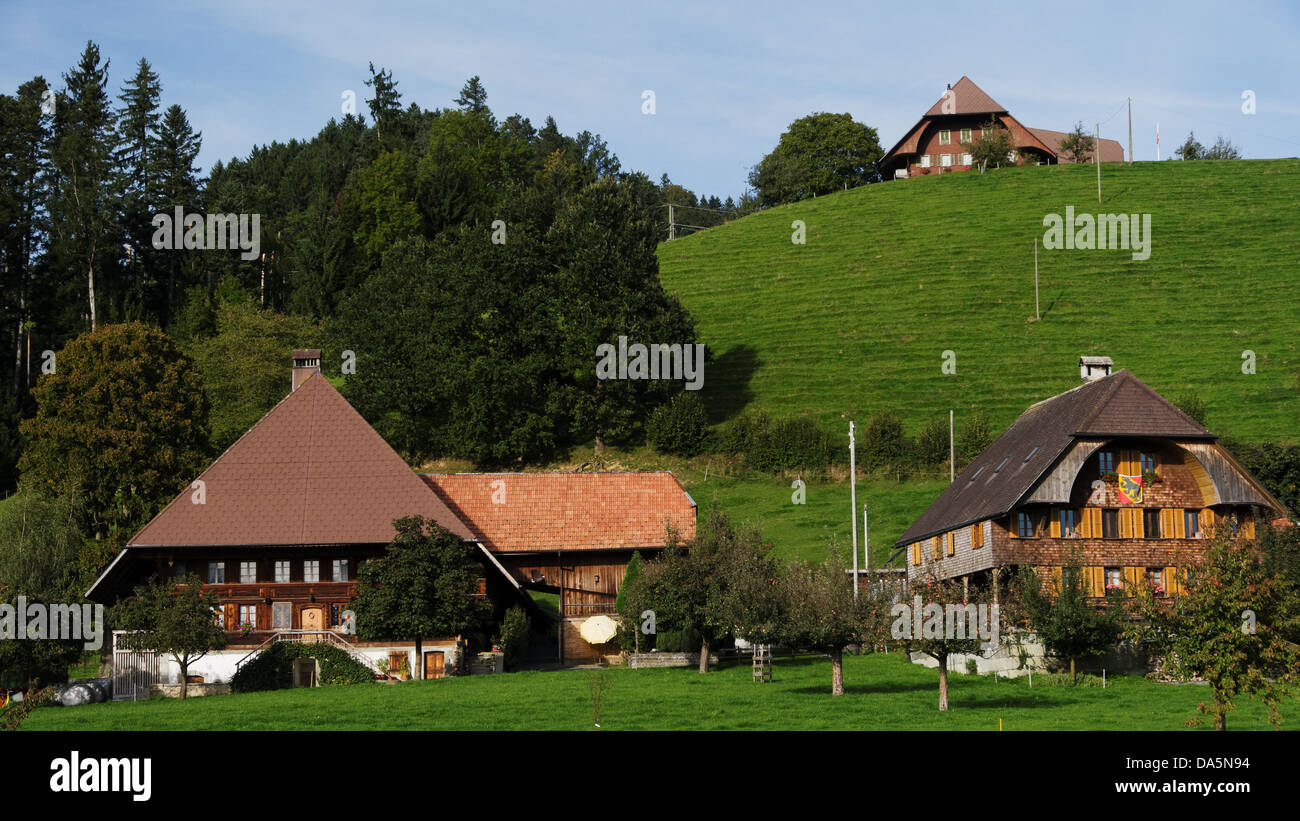 Apple tree, granja, granja de madera, la colina de montaña, techo, Emmental, casa, casa, chalet, corte, patio, Hofstatt, colina, cantón Foto de stock