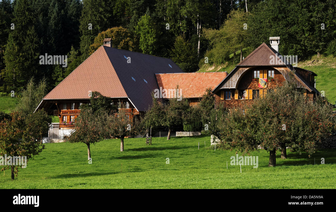 Apple tree, granja, granja de madera, oso de Berna, techo, Emmental, bandera, casa, casa, chalet, corte, patio, Hofstatt, cantón de Berna. Foto de stock