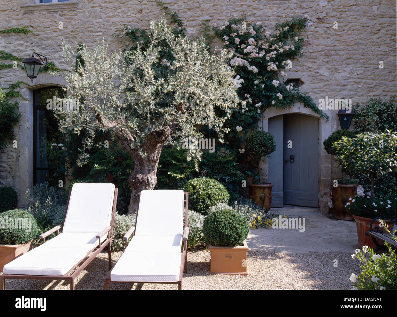 Garden Patio Olive Tree Fotos e Imágenes de stock - Alamy