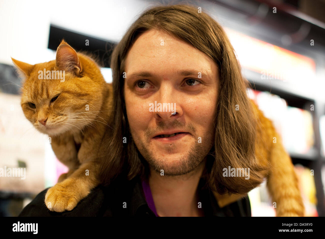 Gato callejero llamado bob fotografías e imágenes de alta resolución