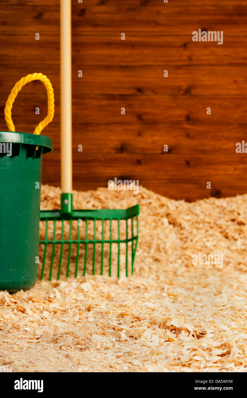 Mucking fuera un caballo/ganado pluma con virutas de madera limpio