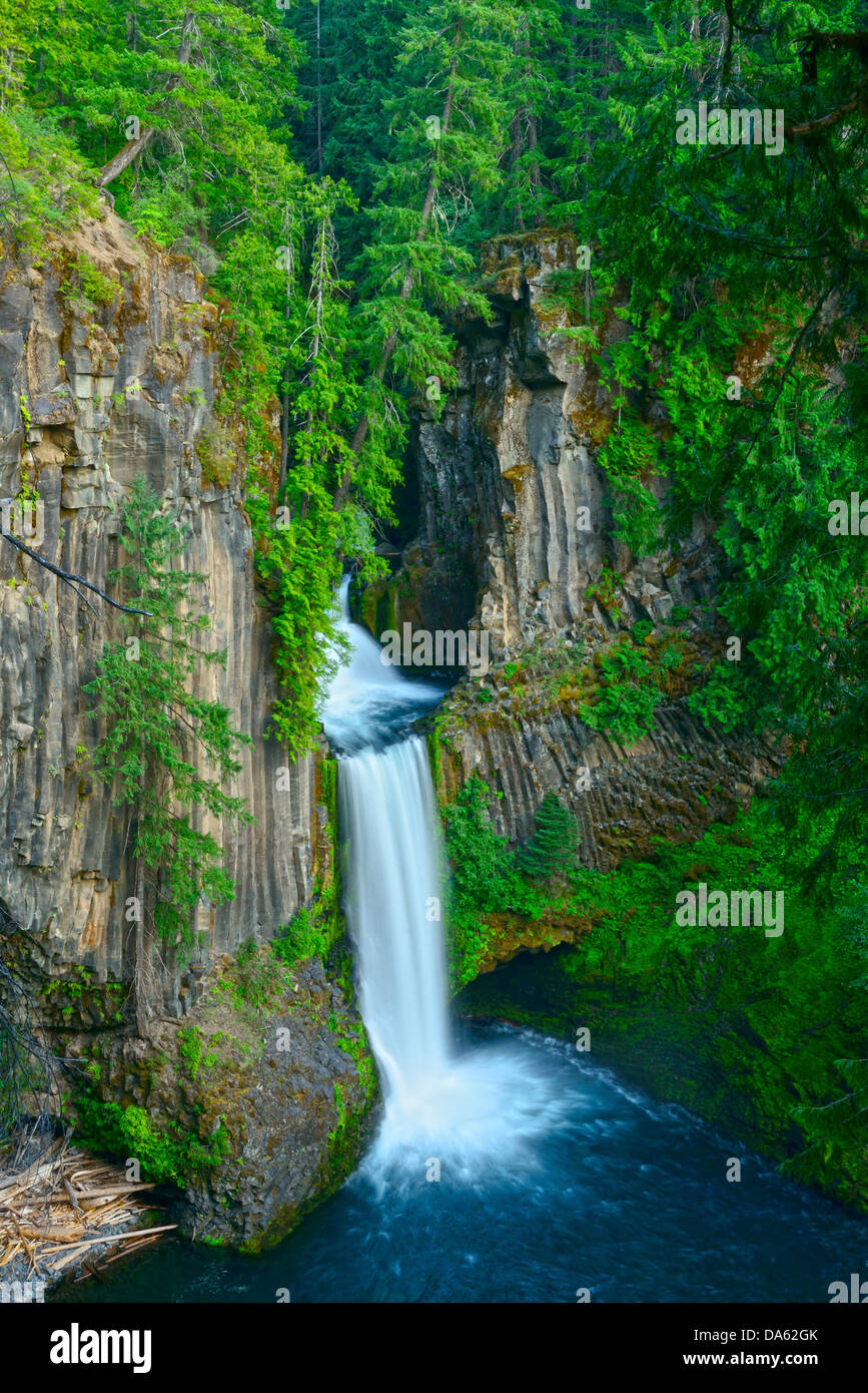 Ee.Uu., Estados Unidos de América Latina, América del Norte, el noroeste del Pacífico, Oregon, el Condado de Douglas, caídas de agua, cascadas, piscina, bosque, tr Foto de stock