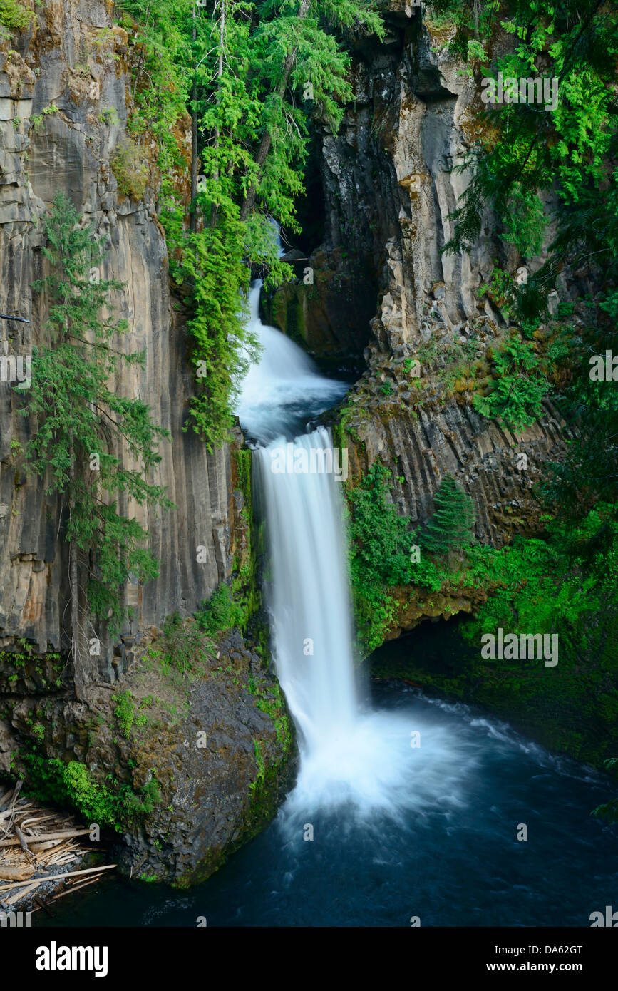 Ee.Uu., Estados Unidos de América Latina, América del Norte, el noroeste del Pacífico, Oregon, el Condado de Douglas, caídas de agua, cascadas, piscina, bosque, tr Foto de stock