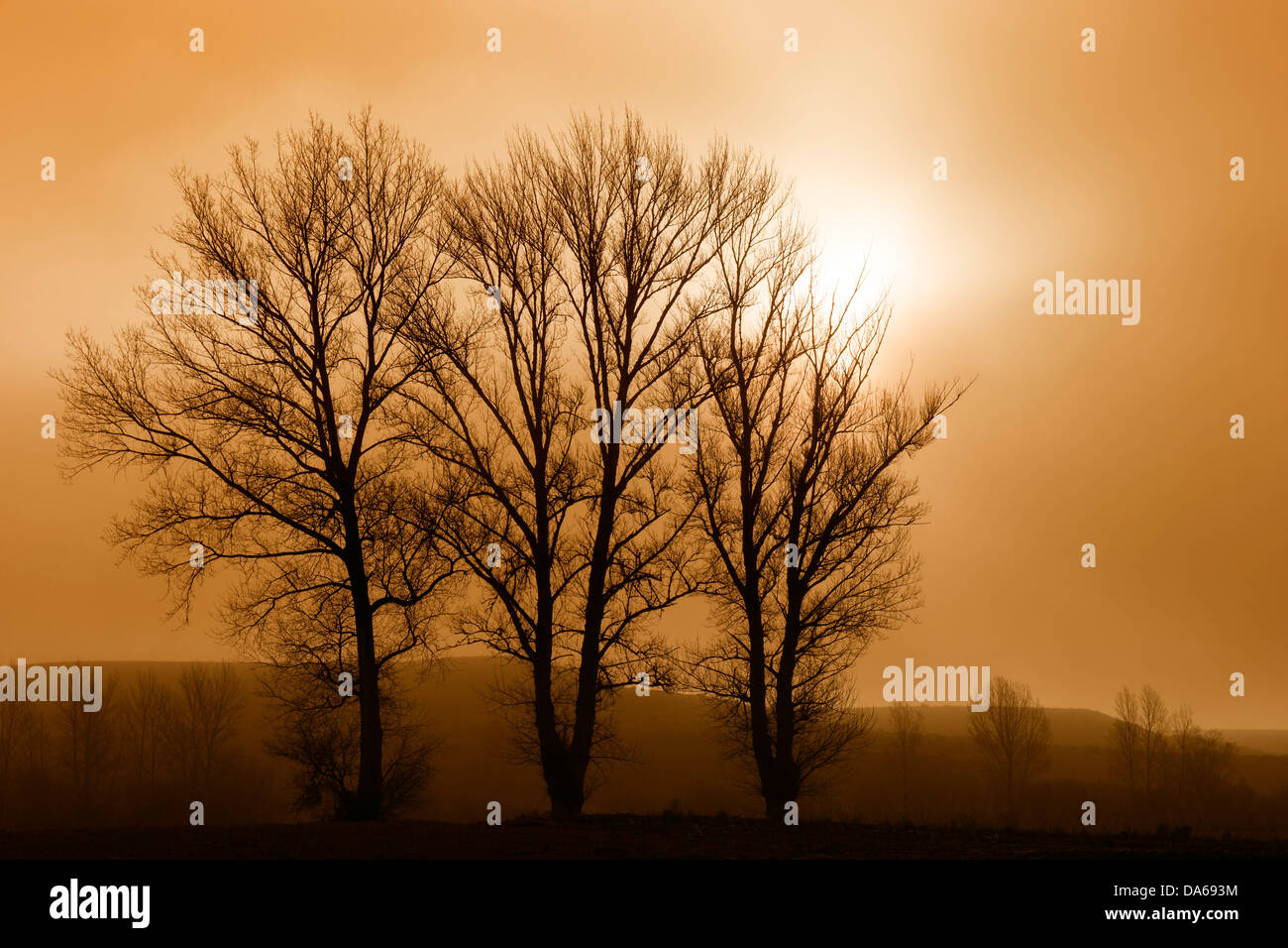 Naturaleza del paisaje al amanecer Burgos Castilla y León España Foto de stock