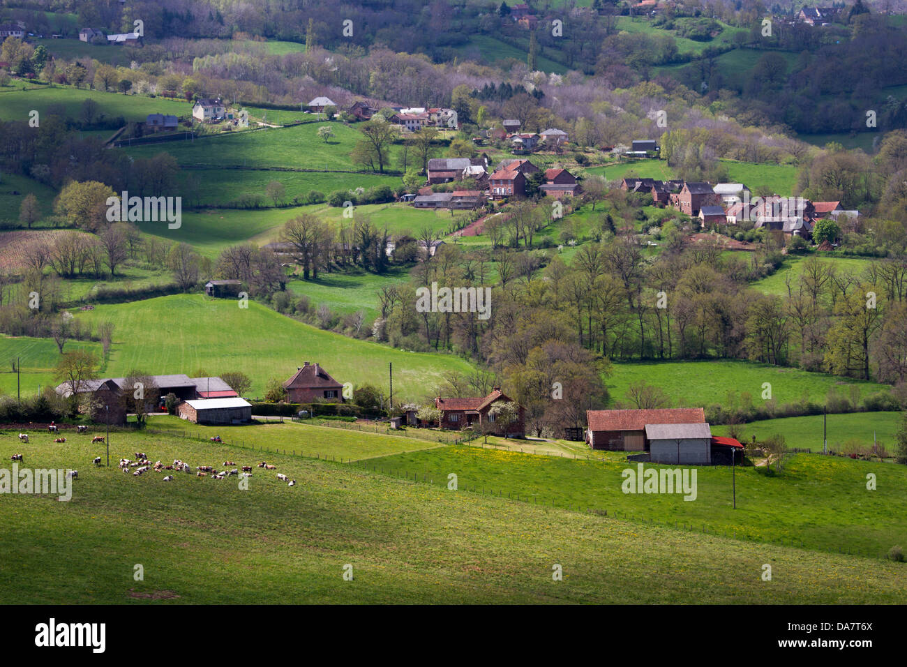 El bucólico paisaje con colinas de pastos, casas de piedra, y vacas que pastan en la región Midi-Pyrénées de Francia Foto de stock