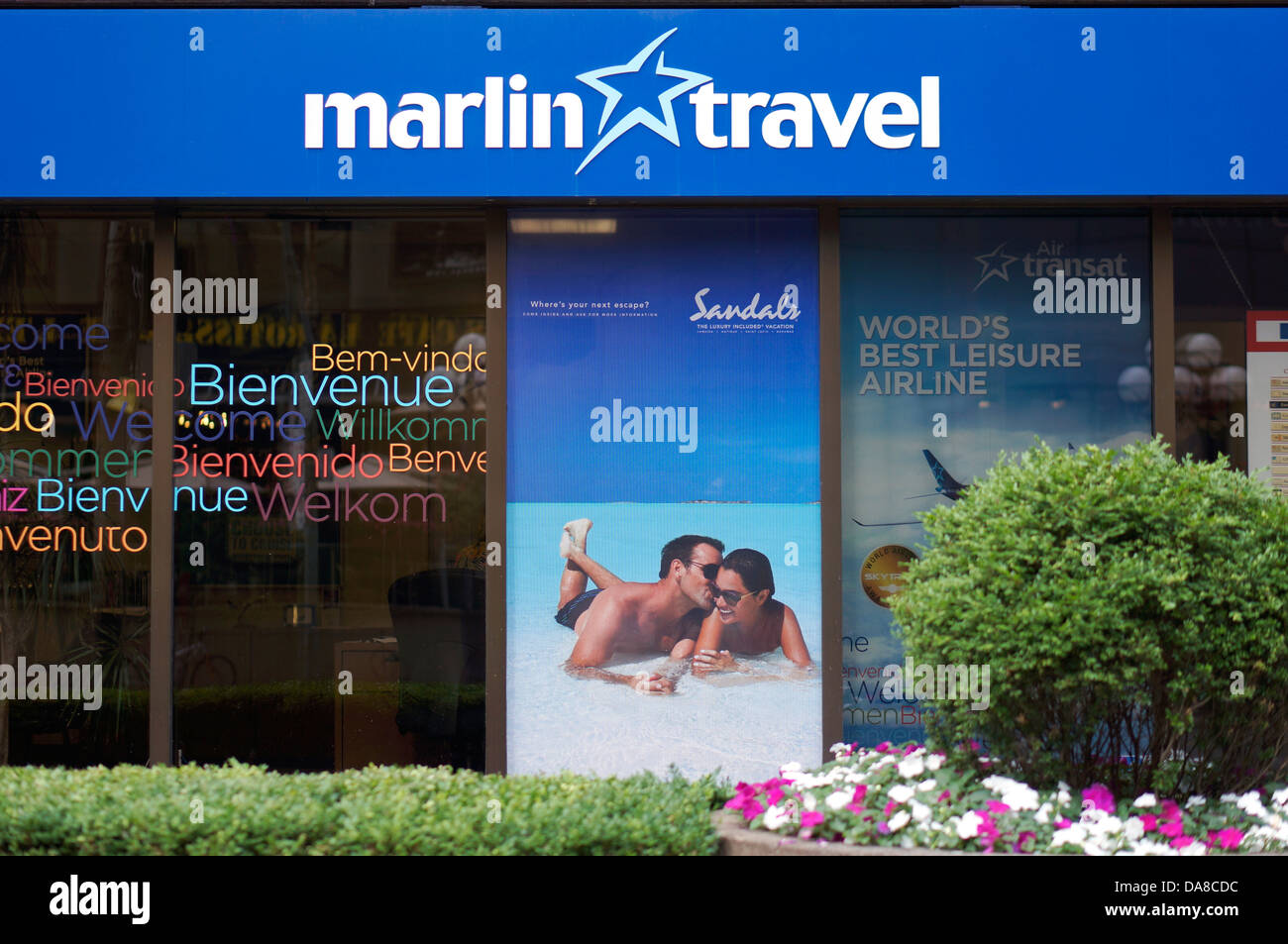 Marlin Travel, Agencia de Viajes, agencia, Toronto Foto de stock