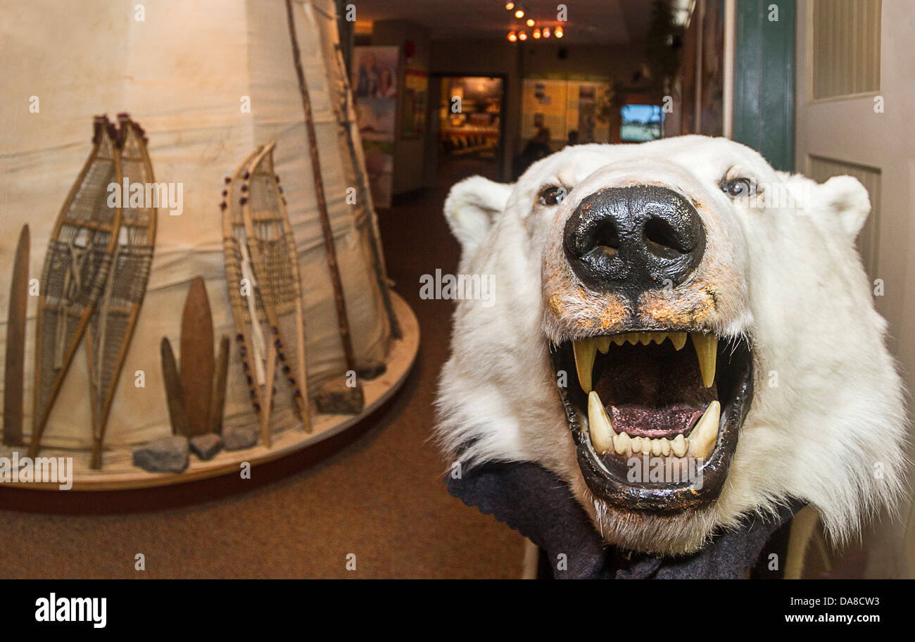 Tienda nativo y el oso polar en el Centro de Visitantes de Parques de Canadá en Churchill, MB Foto de stock