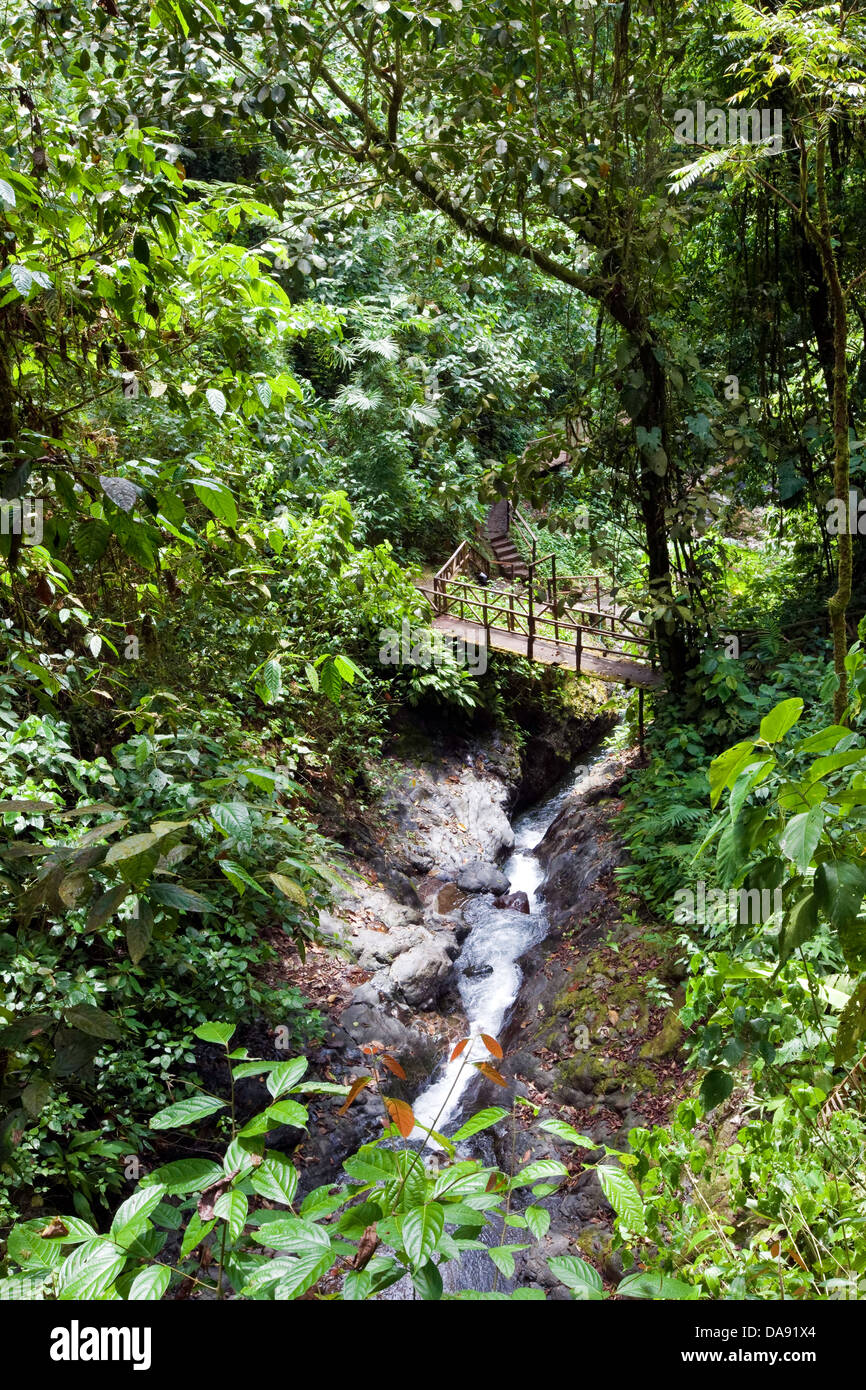 Trail running a través del Proyecto de Conservación Rainmaker, Costa Rica Foto de stock