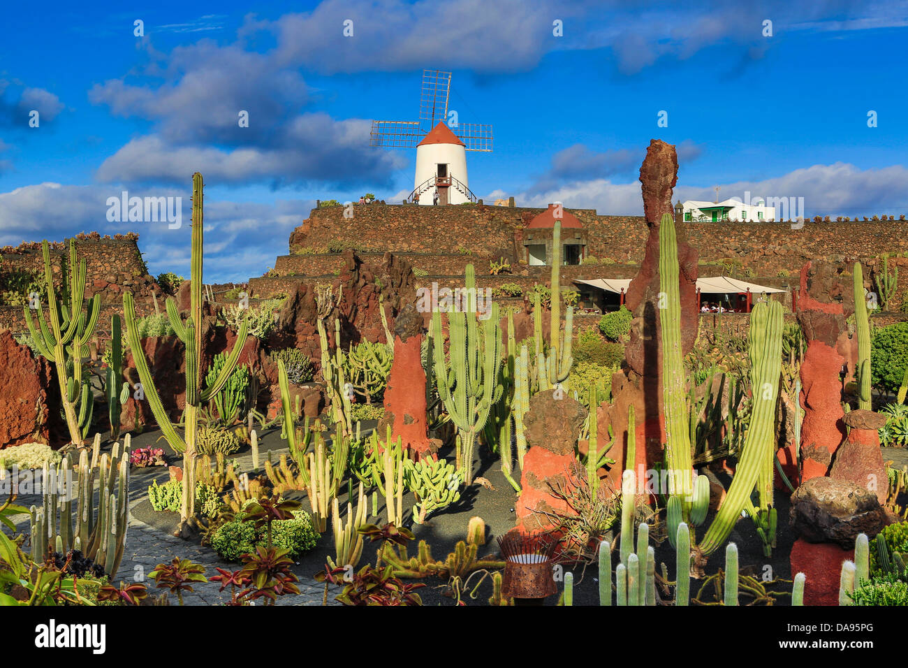 España, Europa, Islas Canarias, Lanzarote Guatiza, cactus, plantas, jardín, la isla, puesta de sol, molino de viento Foto de stock