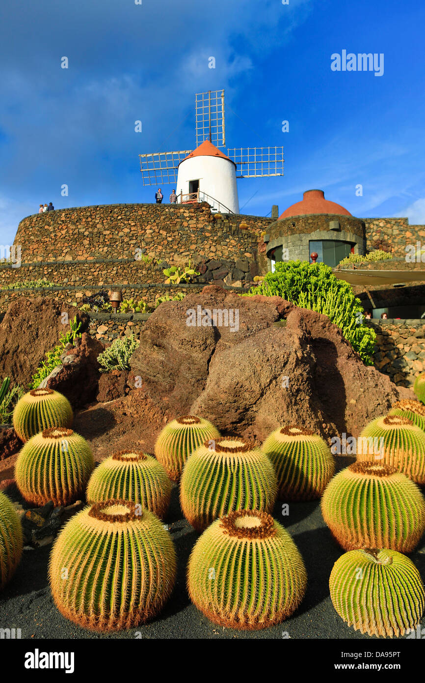 España, Europa, Islas Canarias, Lanzarote Guatiza, cactus, plantas, jardín, la isla, puesta de sol, molino de viento Foto de stock