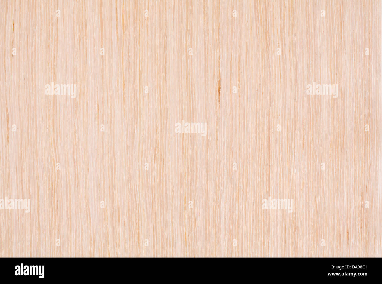 La textura natural de la madera de roble blanqueada Foto de stock