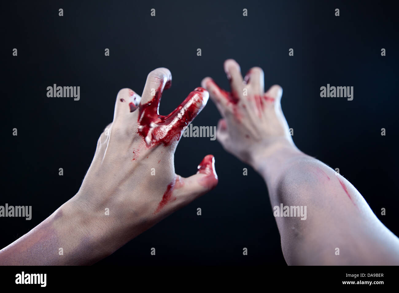 Pálidas manos zombie sangrienta, Foto de estudio sobre fondo gris Foto de stock