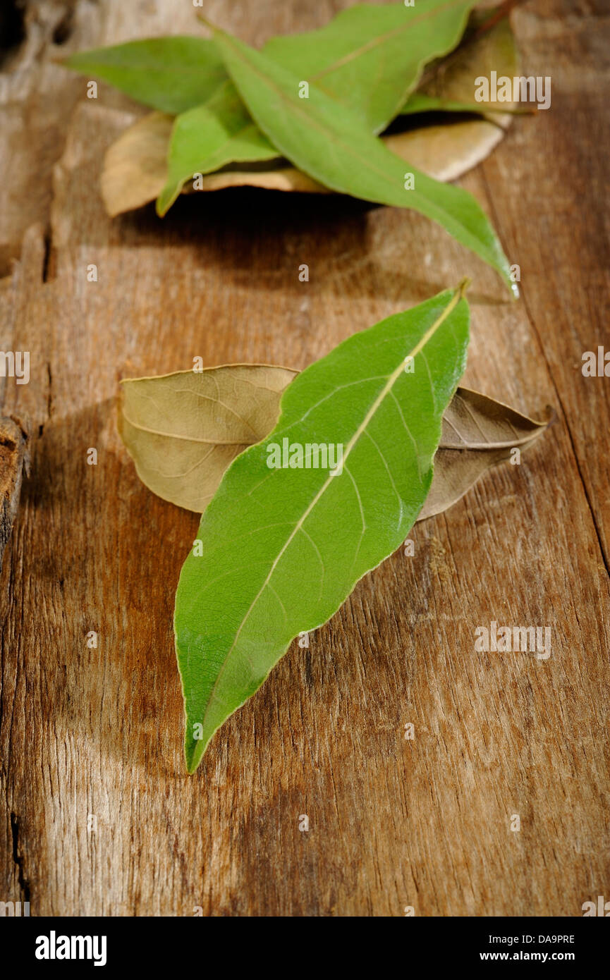 Hojas de laurel secas o frescas sobre fondo de madera Fotografía de