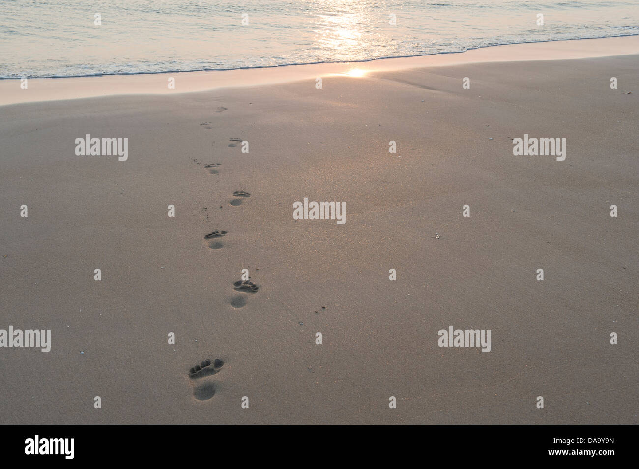 Huellas en la playa caminando hacia el mar al amanecer. Bamburgh, Northumberland, Inglaterra Foto de stock