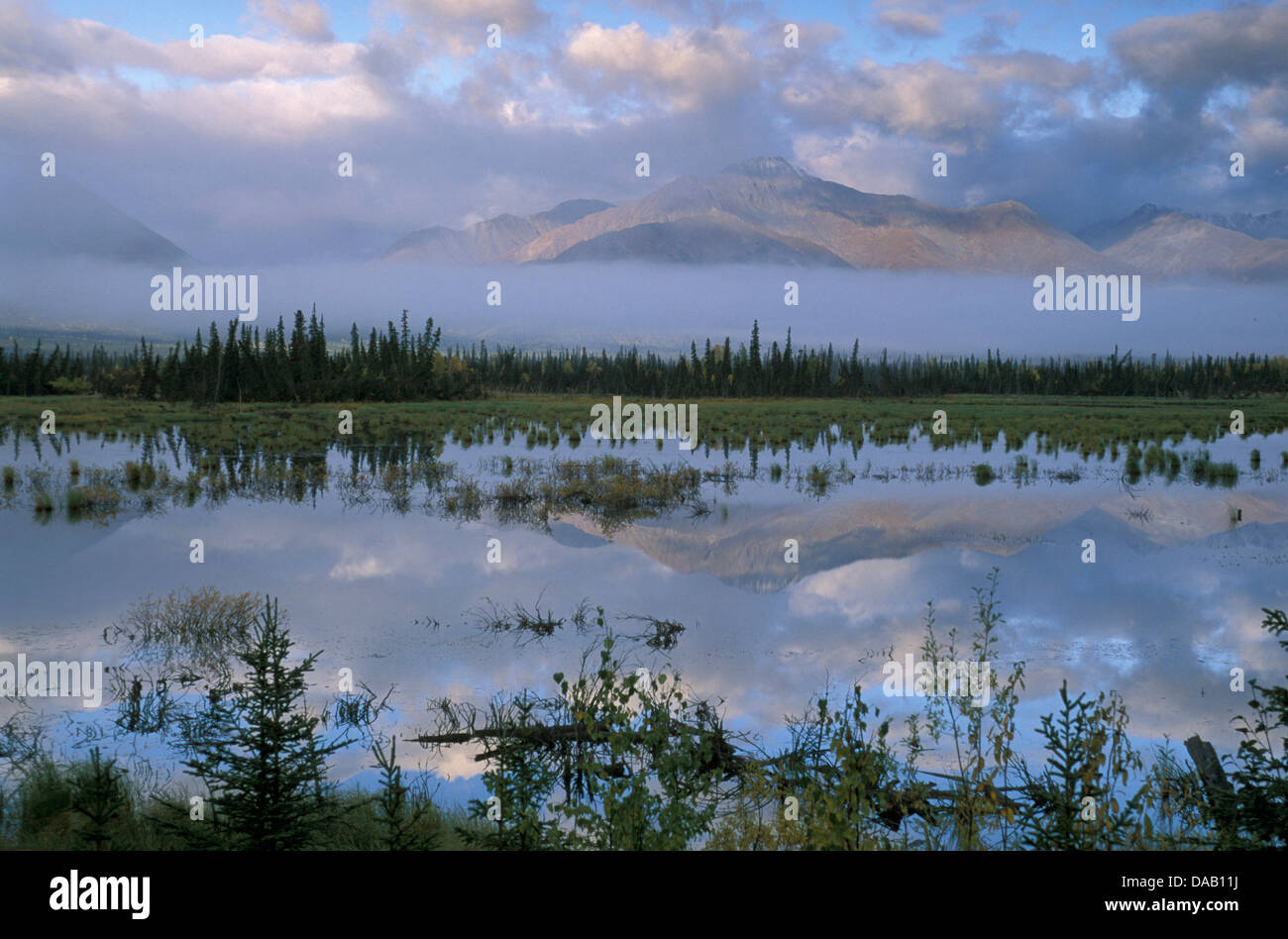 Slana Slough, Slana, Alaska, EE.UU., pantano, inundados, río, arroyo, arroyo, lago, montaña, pantanosa, nubes, niebla, atardecer, niebla, monte Foto de stock