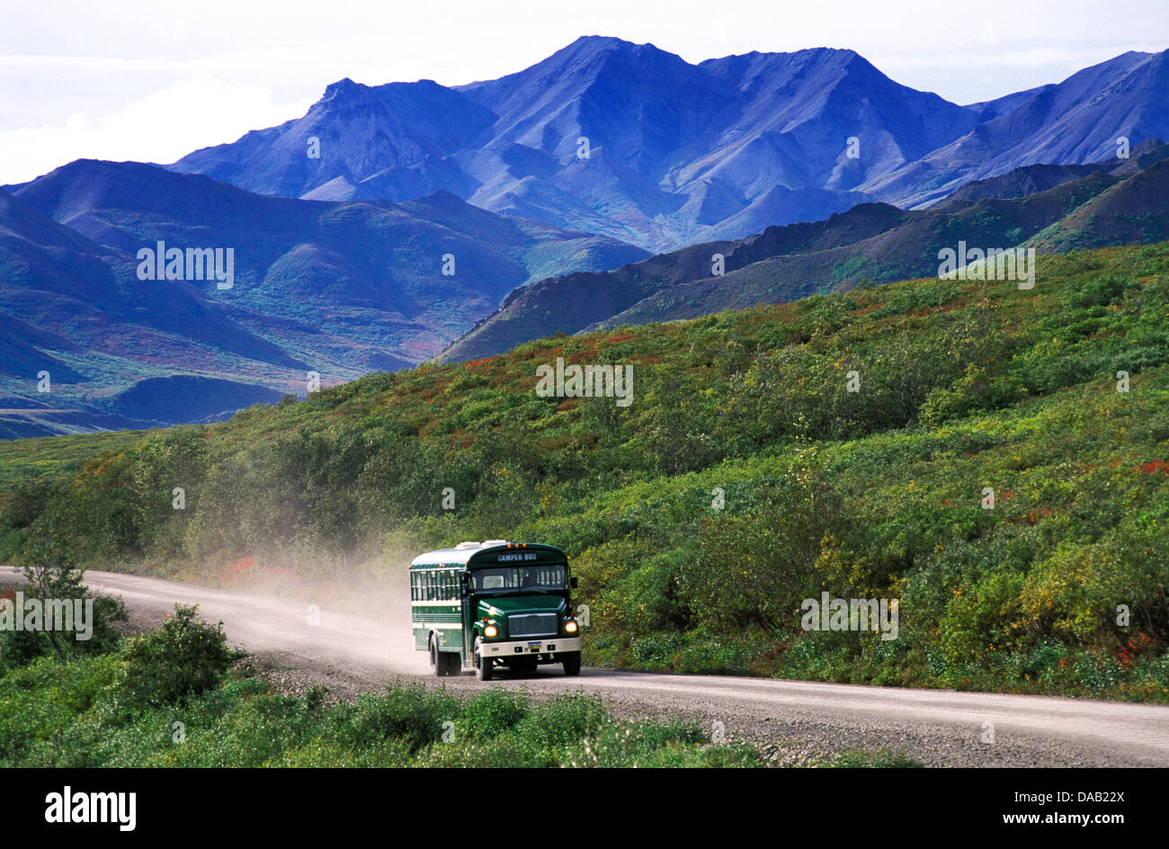 Los autobuses lanzadera, Kantishna Road, Denali, Parque Nacional, preservar, Alaska, EE.UU., bus, montañas, soleado, vacaciones, aventura, la exuberante Foto de stock