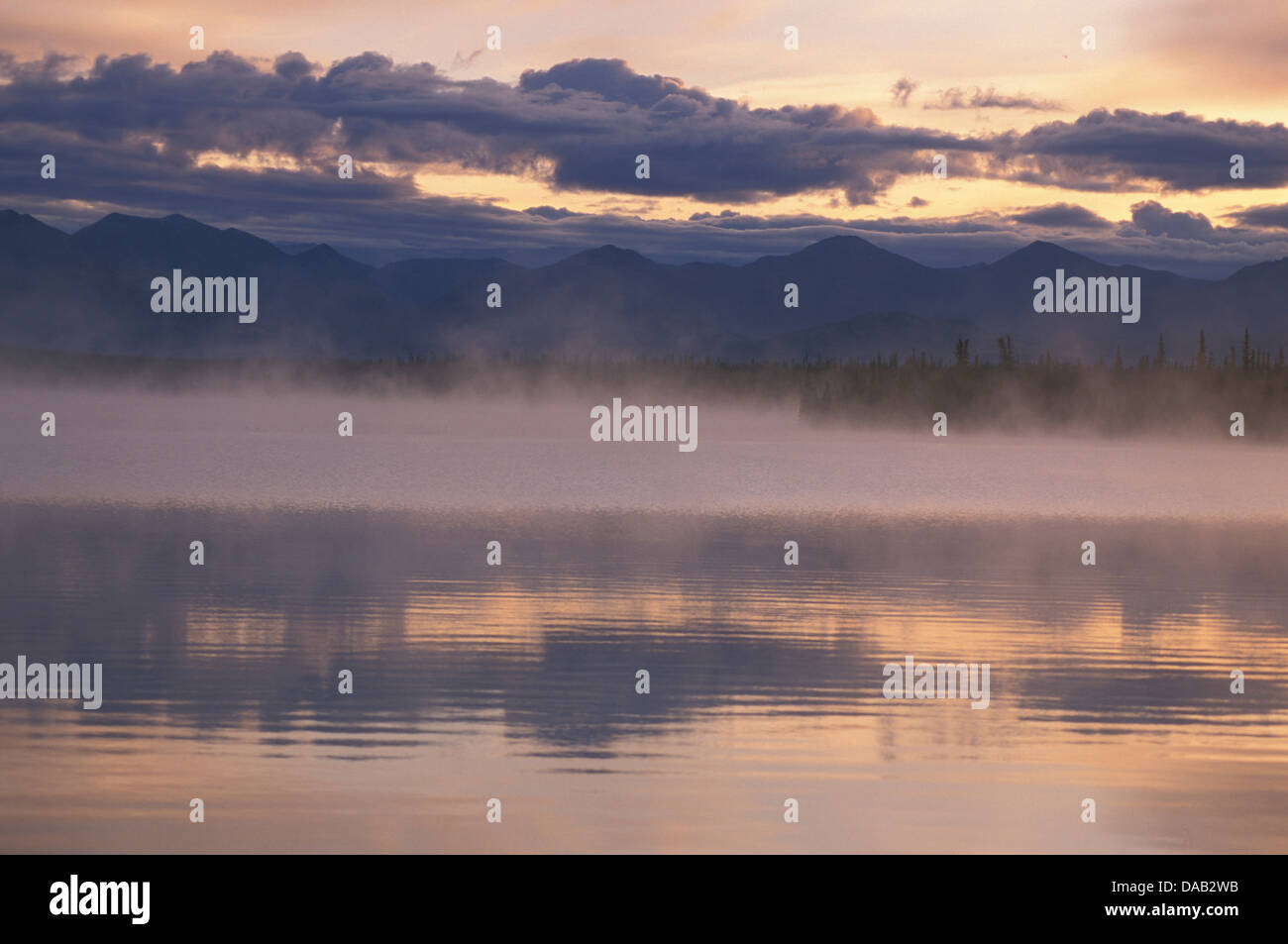 Niebla de la mañana, cerca de Hains Junction, Yukon, Canadá, Lago, niebla, neblina, nubes de vapor, el río, los árboles, las montañas, los sueños Foto de stock