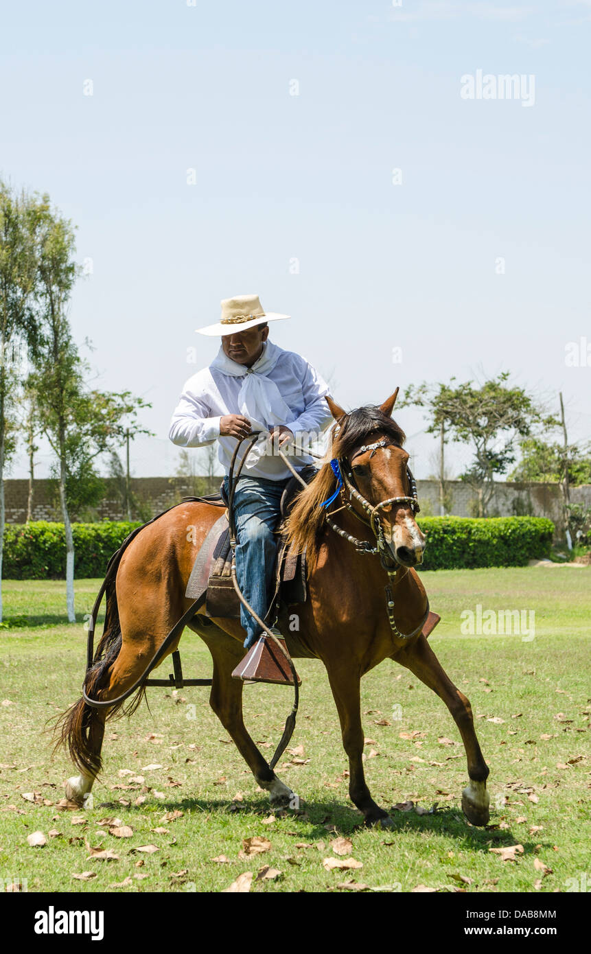 Construye un caballo de churro y cabalga como un auténtico jinete