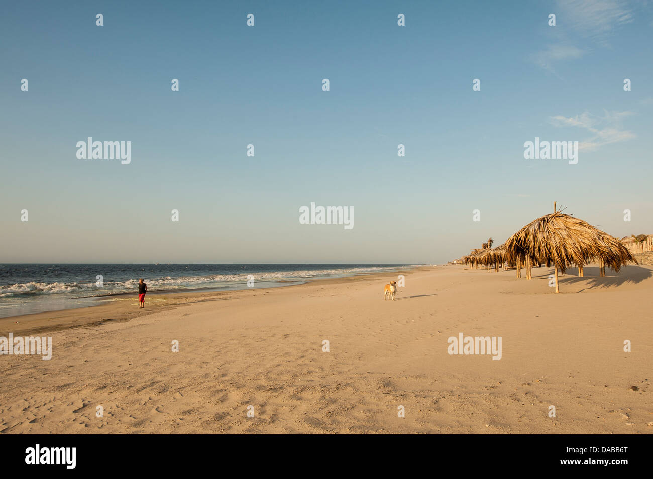 El hombre y el perro a pasear caminando por la playa al atardecer, Vichayito Mancora, Perú. Foto de stock