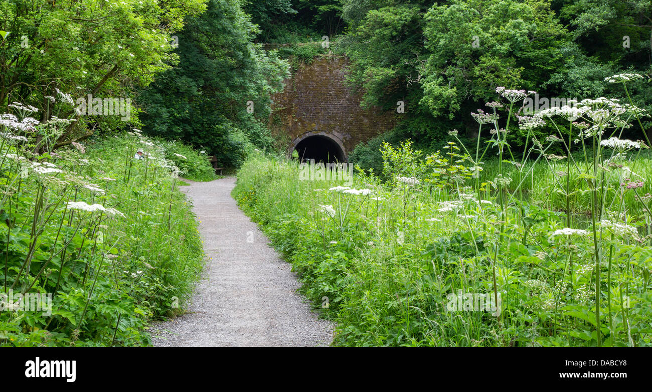 Gregory en el Túnel del Canal de Cromford cerca de Matlock en Derbyshire Foto de stock