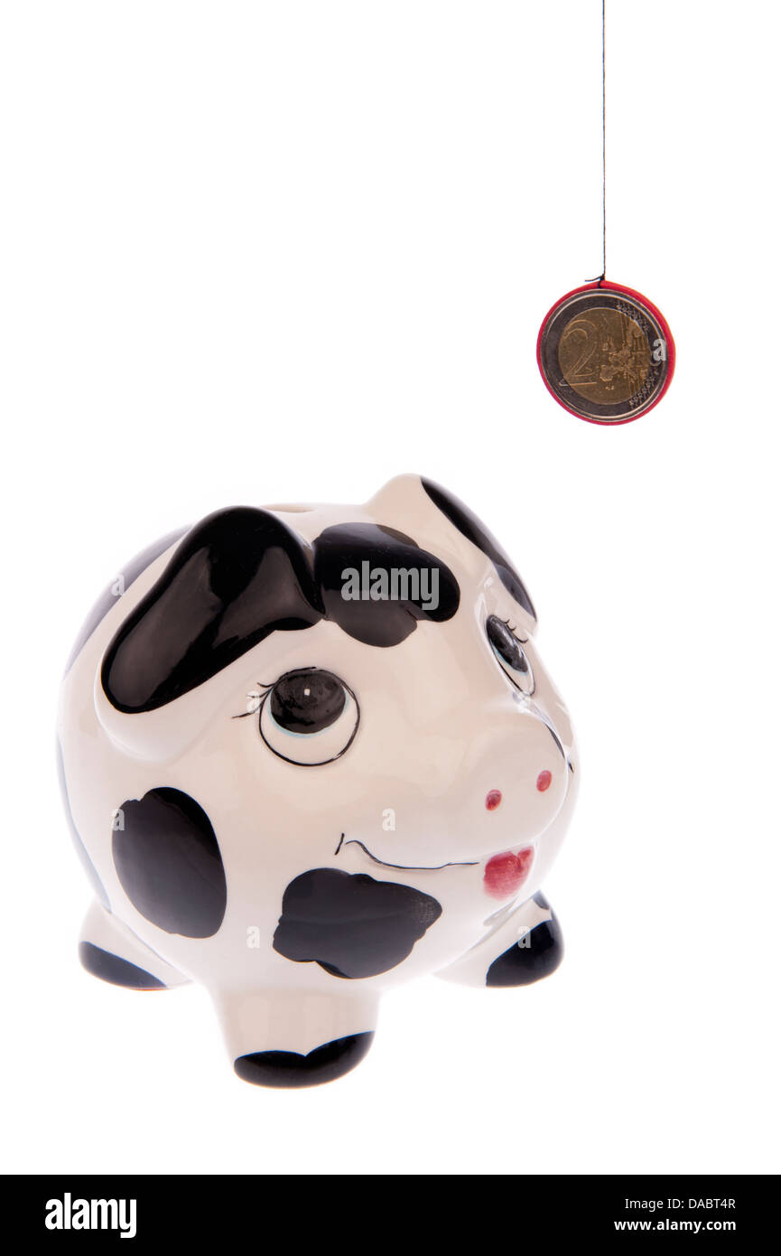 Hucha vaca negra y blanca con manchas, mirando hacia arriba con una  variedad de billetes de euro en su ranura, aislado en blanco Fotografía de  stock - Alamy