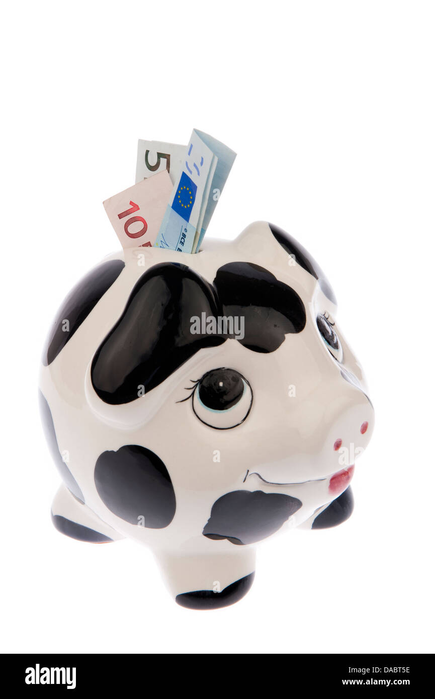 Hucha vaca negra y blanca con manchas, mirando hacia arriba con una  variedad de billetes de euro en su ranura, aislado en blanco Fotografía de  stock - Alamy