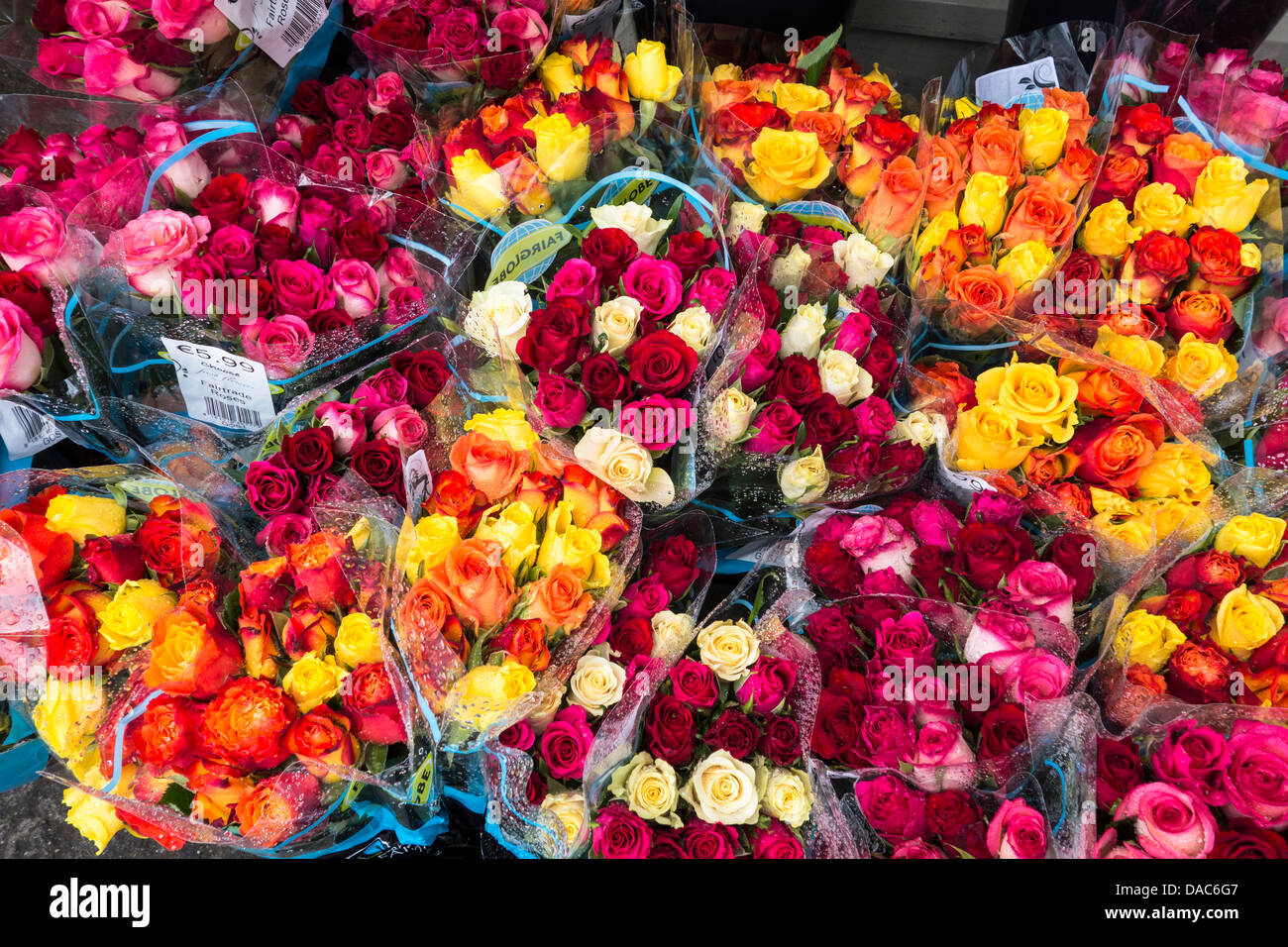 Ramos de rosas en venta en frente de una tienda de flores- rojo naranja, amarillo, rosa y morado Foto de stock