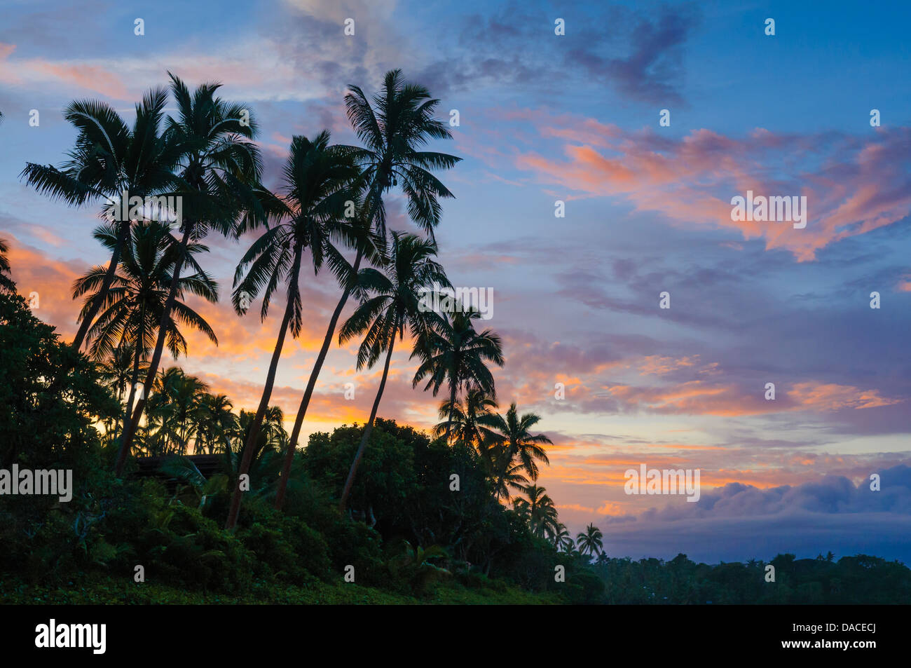 Cocoteros y sunrise sky en el Shangri-La Fijian Resort Coral Coast, Fiji Foto de stock