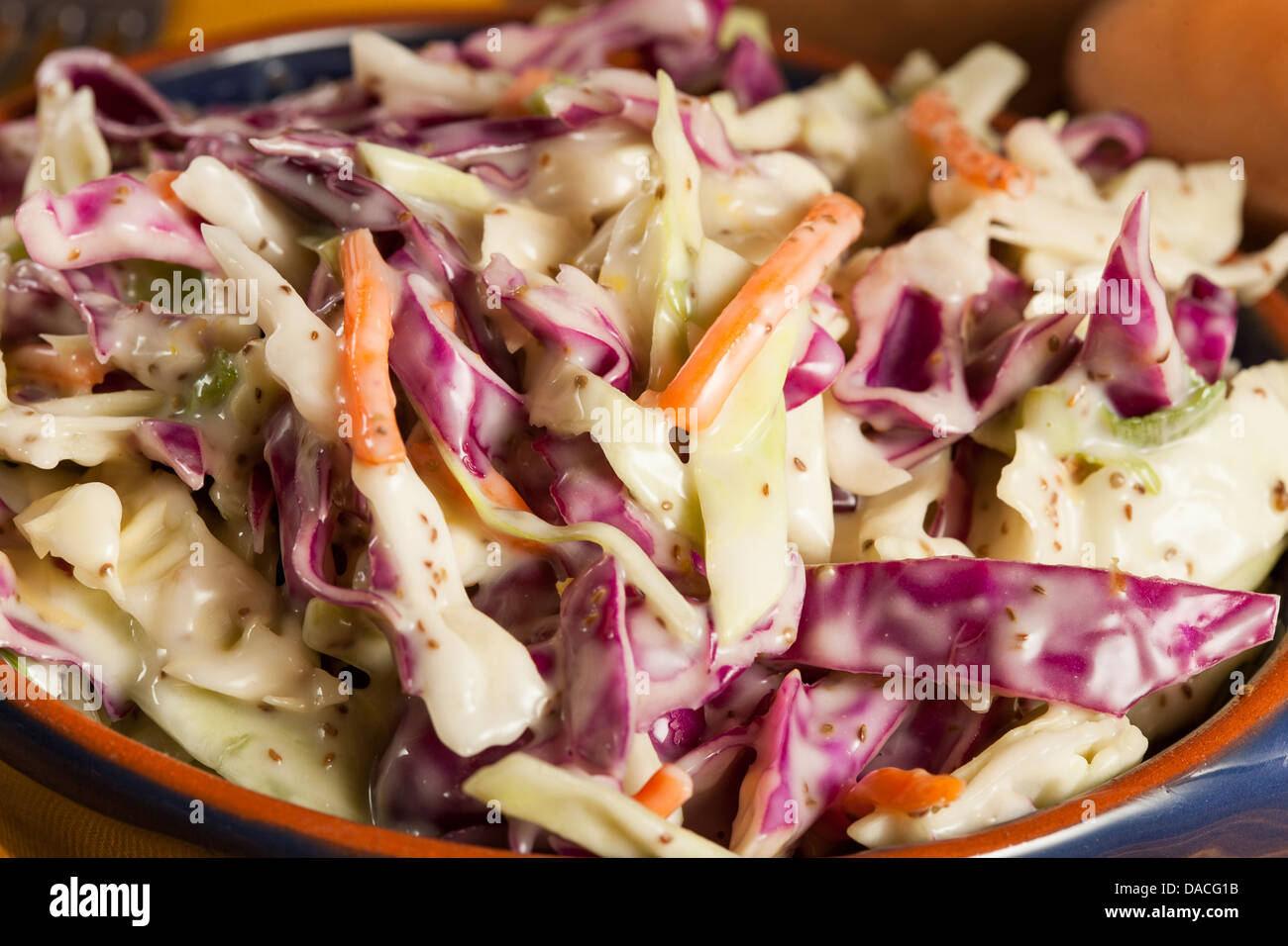 Coleslaw casero con repollo, zanahoria rallada y lechuga Foto de stock