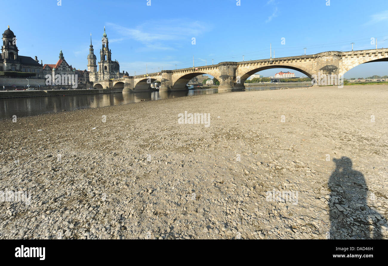 Una parte del río Elba en el puente de agosto delante de la Hofkirche (iglesia-L) lleva trazas de un largo verano con un medidor de agua de 100 centímetros en Dresden, Alemania, 04 de octubre de 2011. Foto: Matthias Hiekel Foto de stock